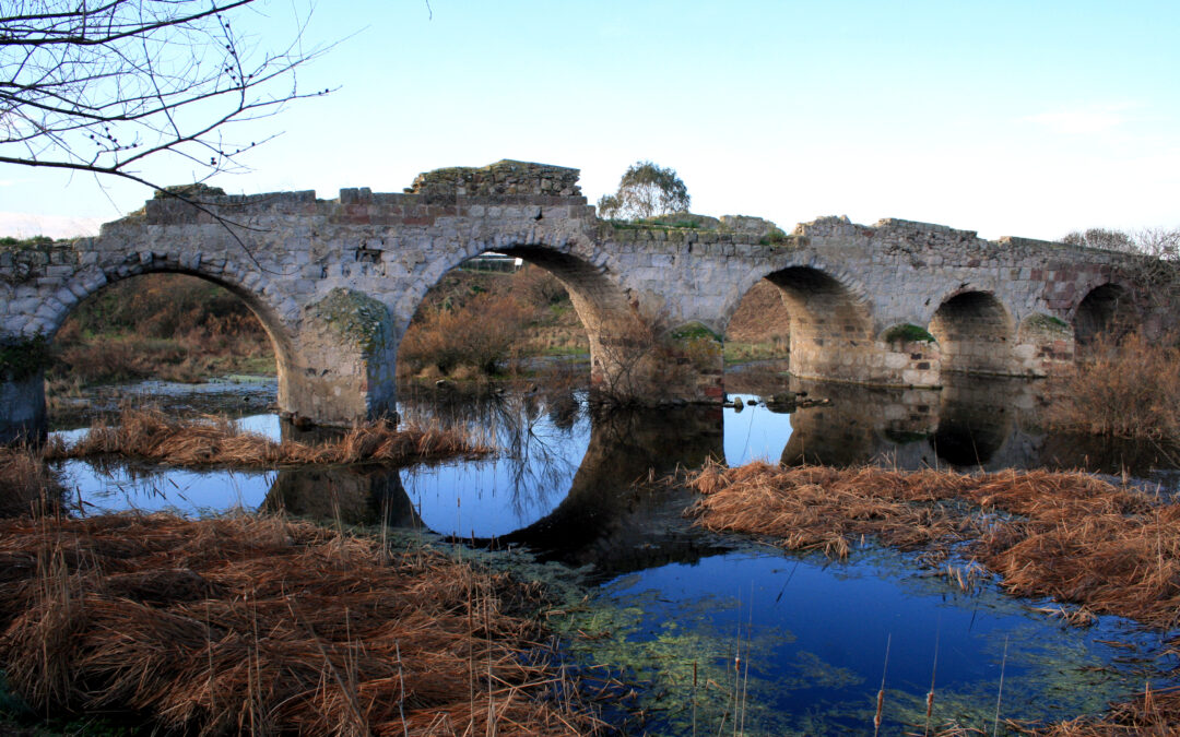 Allerta meteo per vento forte e pioggia!