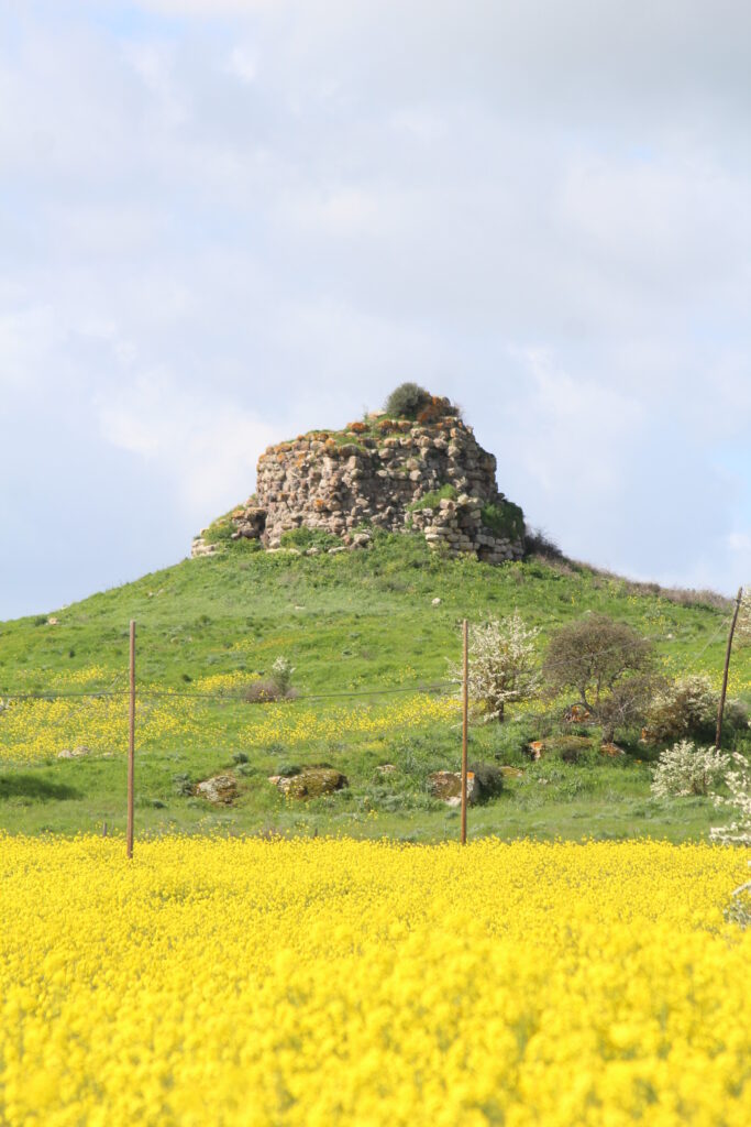 San Panaleo 2